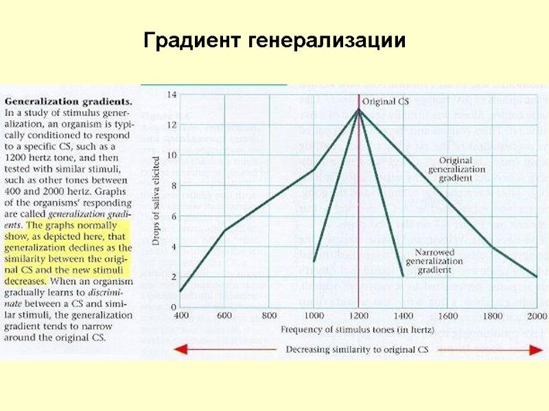 Градиент генерализации